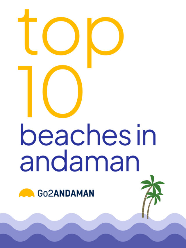 10 Best Beaches in Andaman You Must Visit in 2025