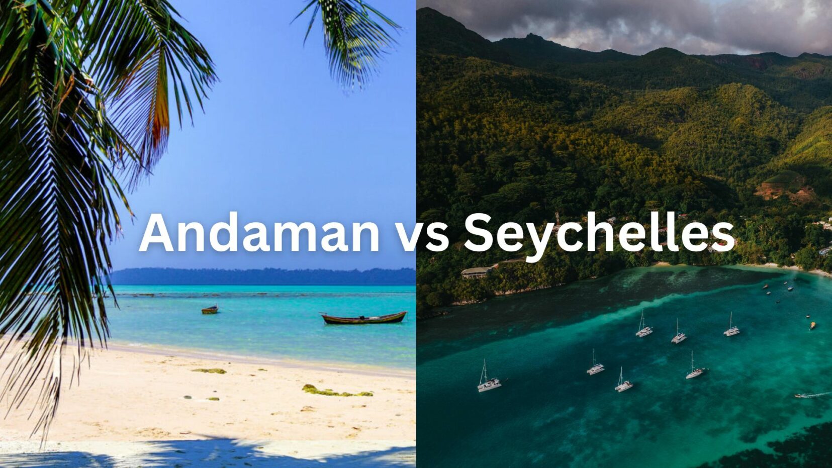 Andaman vs Seychelles: Which One’s Worth Your Trip?