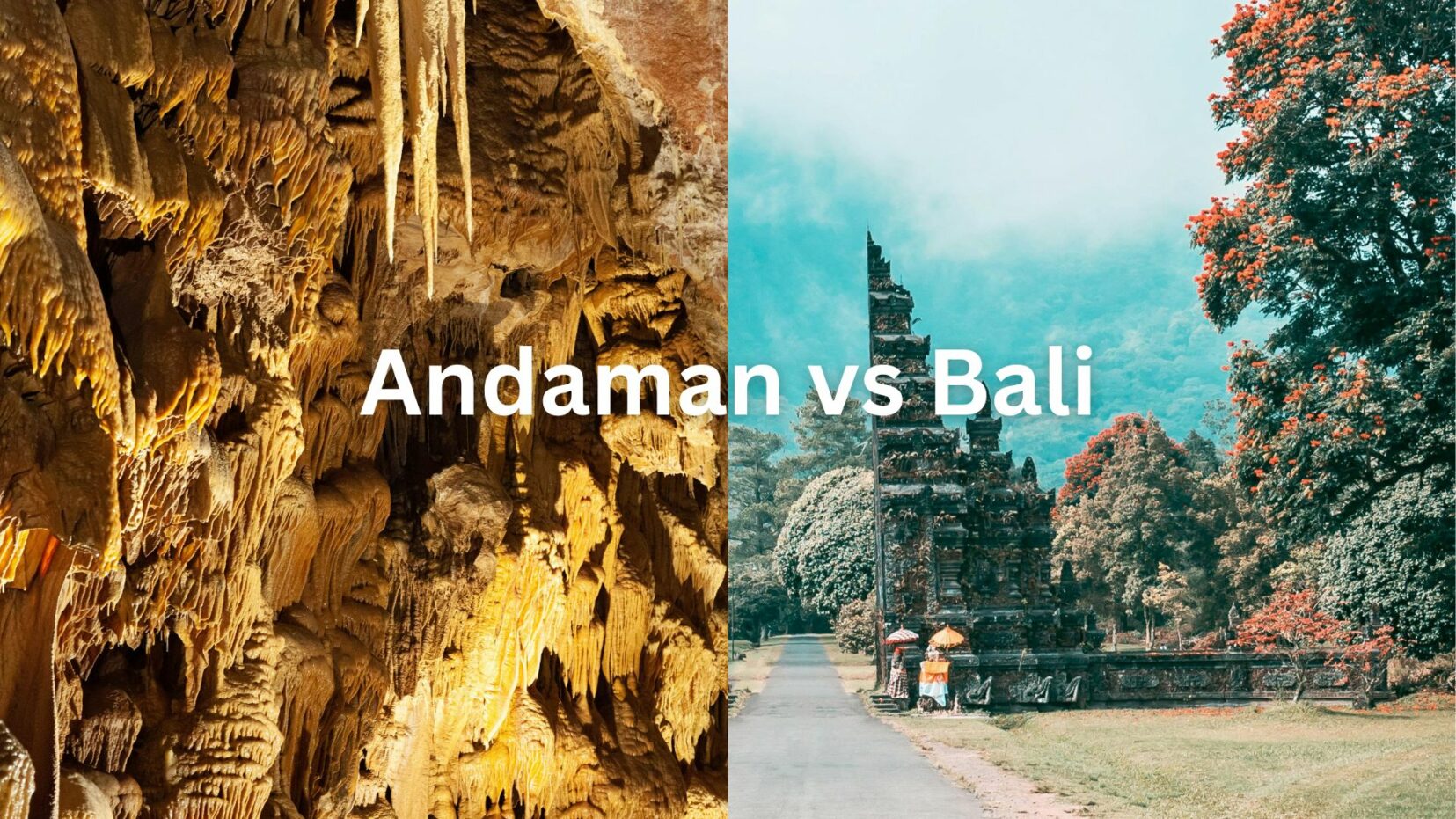 Andaman vs Bali: Which One’s Worth Your Trip?